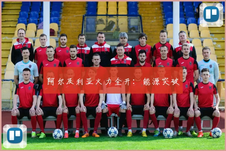 阿尔及利亚火力全开：能源突破