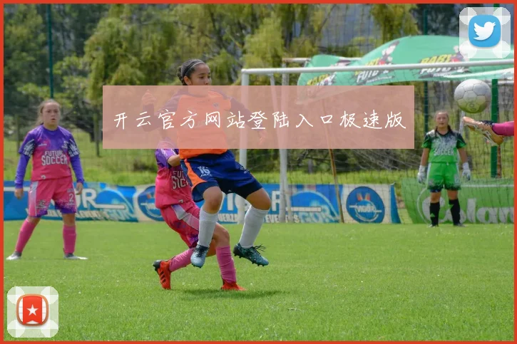 开云官方网站登陆入口极速版
