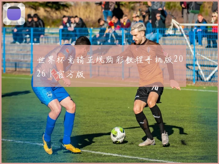 世界杯竞猜正规购彩教程手机版2026｜官方版