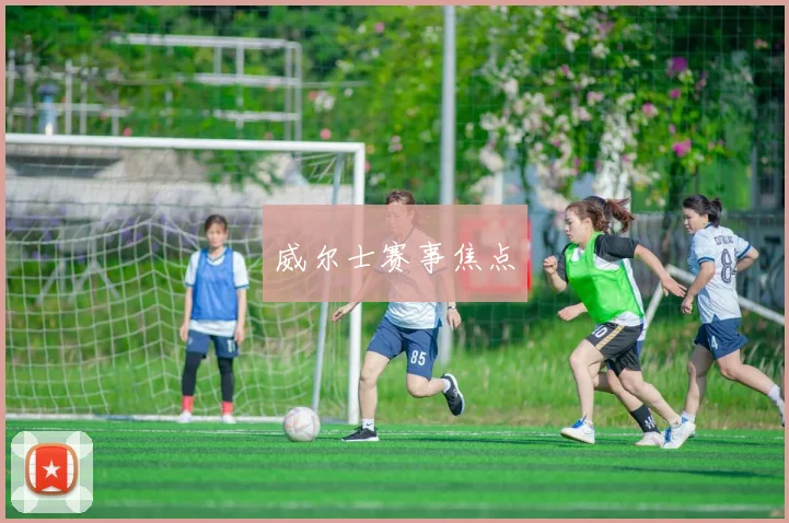 威尔士赛事焦点