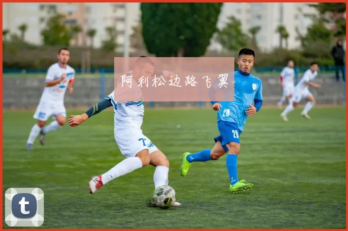 阿利松边路飞翼