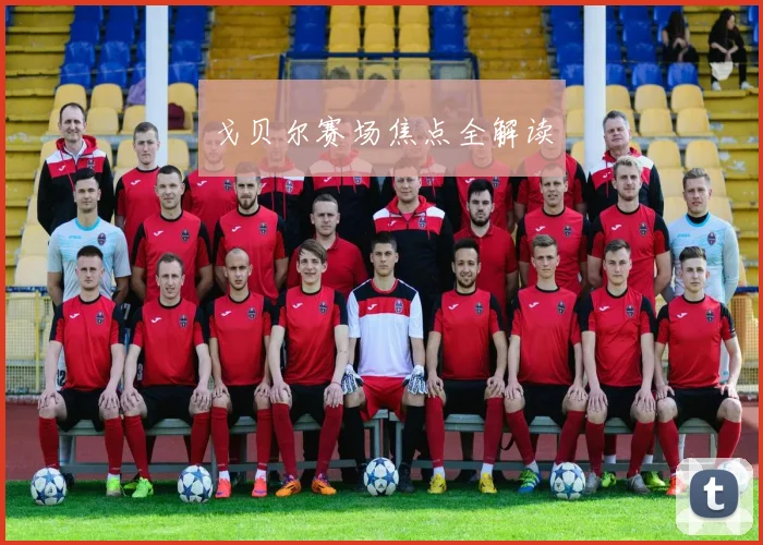 戈贝尔赛场焦点全解读