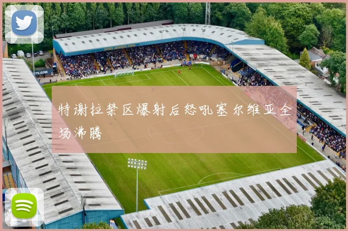 特谢拉禁区爆射后怒吼塞尔维亚全场沸腾