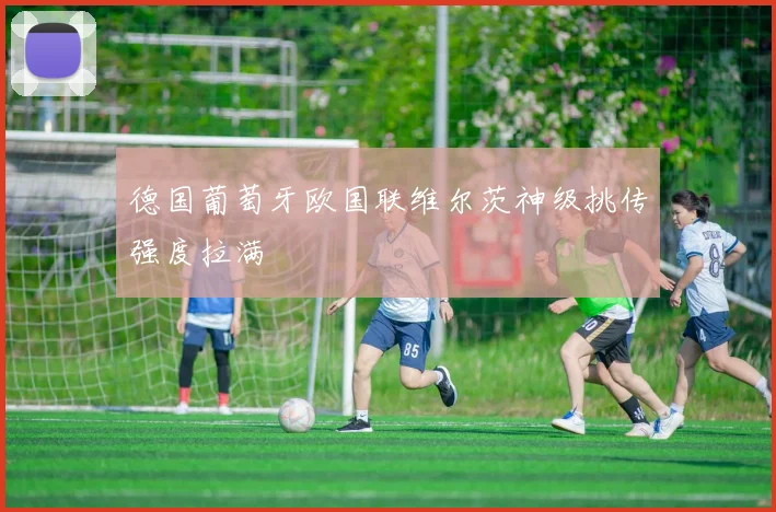 德国葡萄牙欧国联维尔茨神级挑传强度拉满