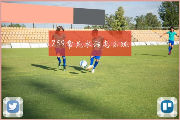 Z59常见术语怎么玩