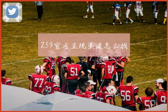 Z59官方正规渠道怎么找