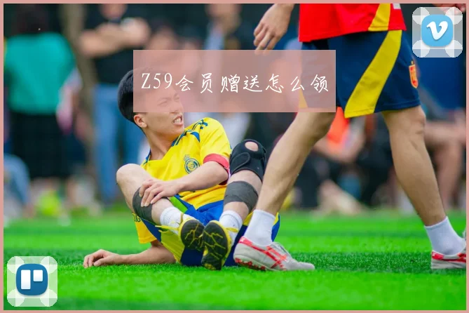 Z59会员赠送怎么领