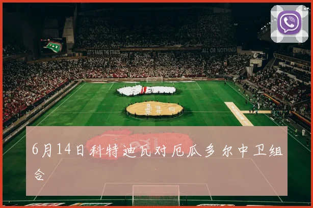 6月14日科特迪瓦对厄瓜多尔中卫组合
